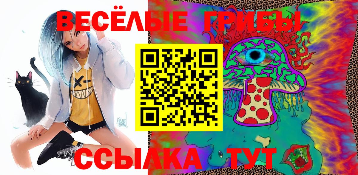 Ачхой-Мартан  Псилоцибиновые грибы Cubensis  Псилоцибиновые грибы Magic Shrooms  Вход с VPN 