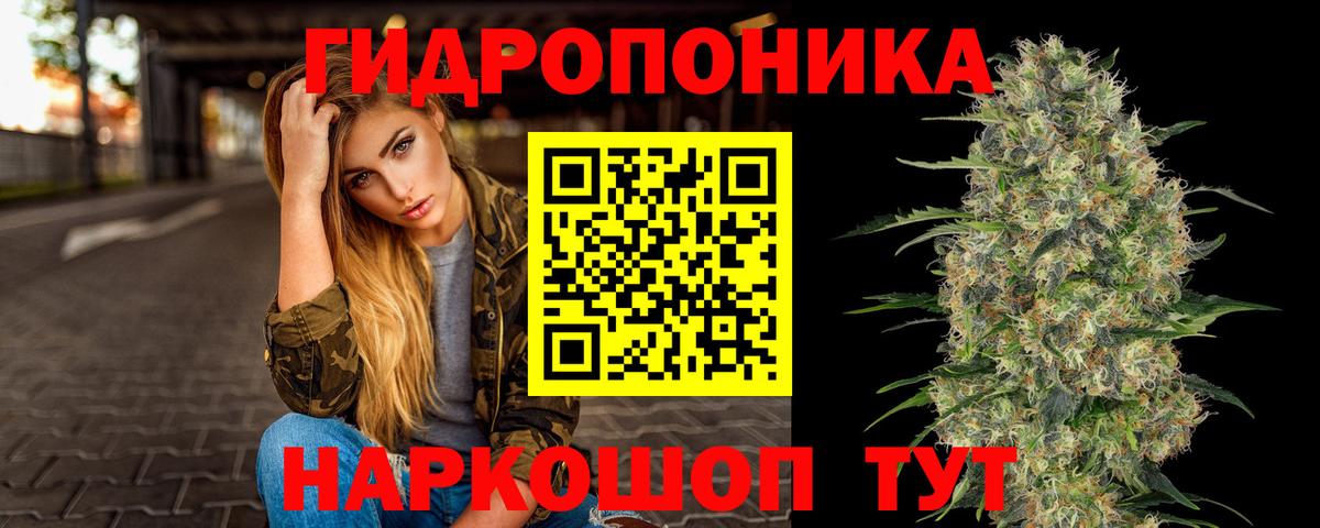Бошки Шишки THC 21% Ачхой-Мартан